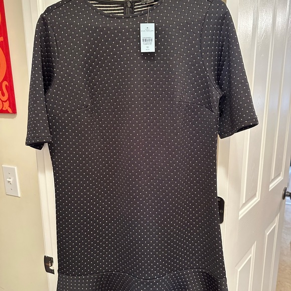 Ann Taylor NWT short sleeved black polka dot dress. Size 10 Petite. - Picture 1 of 6